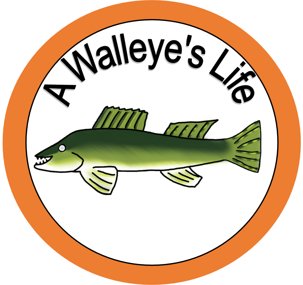 A Walleye's Life